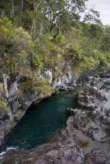 Fototapeta na wymiar View of Vicente Perez Rosales National Park - Chile