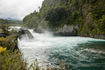 View of Vicente Perez Rosales National Park - Chile