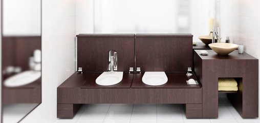 Modern Toilette Design (panoramic)