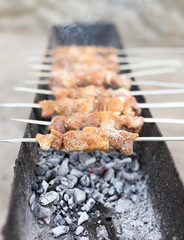 grilled skewers on the grill