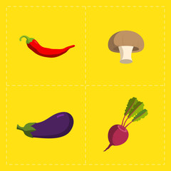 Colorful Vegetable Icon Set on Bright Background 