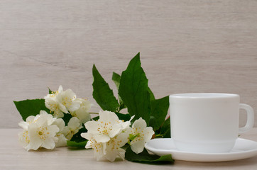 White mug with a sprig of jasmine, close-up