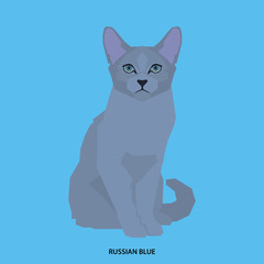 Cat breed, vector illustration