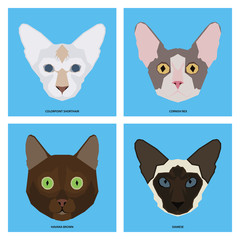 Set of cat breeds, vector illustration