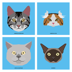 Fototapeta premium Set of cat breeds, vector illustration