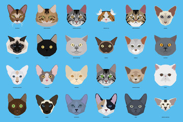 Obraz premium Set of cat breeds, vector illustration