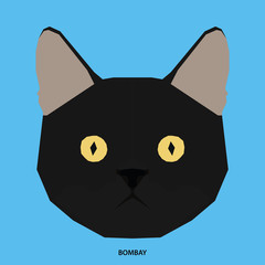 Cat breed, vector illustration