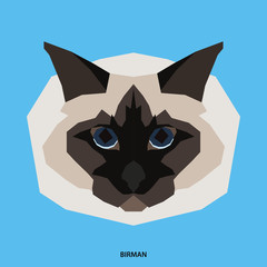Cat breed, vector illustration
