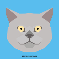 Cat breed, vector illustration