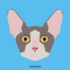 Cat breed, vector illustration