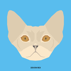 Cat breed, vector illustration