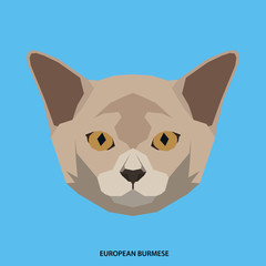Cat breed, vector illustration