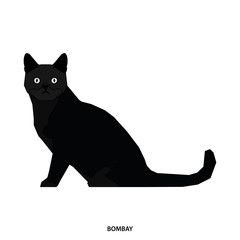 Cat breed, vector illustration