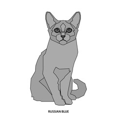 Cat breed, vector illustration