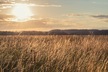 Obraz premium Reserve Lokhin island not far from Moscow.