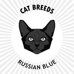 Cat breed, vector illustration