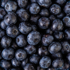 Freshly picked blueberries