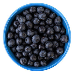 Freshly picked blueberries