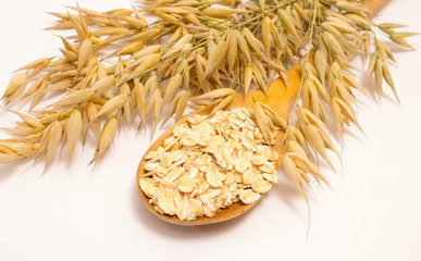 grain oats and oatmeal