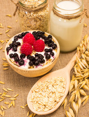 oat grain and oatmeal with fresh fruits