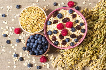 Healthy porridge with fruits on canvas