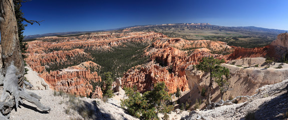 Rainbow point, Bryce canyon NP 