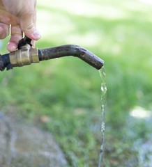 tap water in a park on the nature