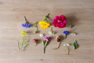 Fototapeta na wymiar Creative arrangement made of different flowers on wooden background.