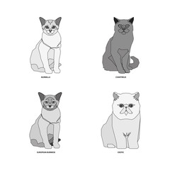 Set of cat breeds, vector illustration