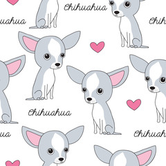 seamless chihuahua dog pattern vector illustration - 115961707