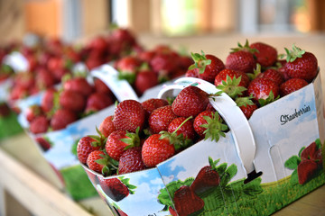 Strawberries in the paper basket 