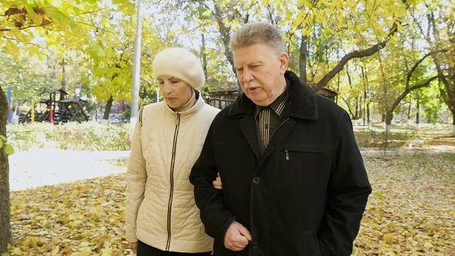 adult man and woman walking and talking in autumn park, slow motion