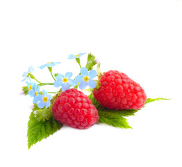 Ripe red raspberries isolated on white background