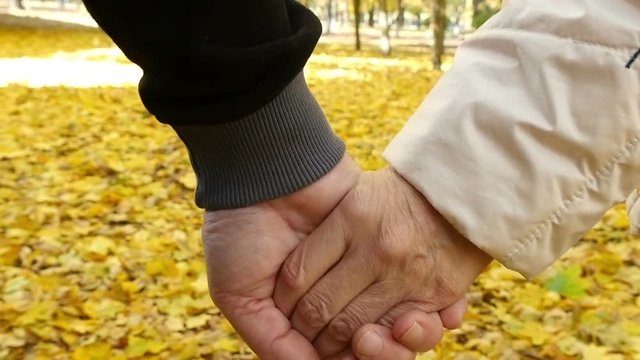 man and woman holding hands and walking in the autumn park, slow motion