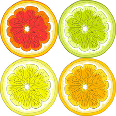 Seamless pattern of citrus.