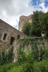Fototapeta na wymiar castle ruin hermannstein hessen germany