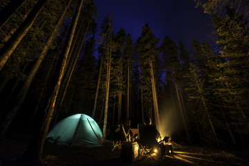 Two people camping in the forest with a fire