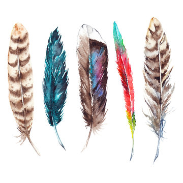 Watercolor colorful exotic bird feather set isolated