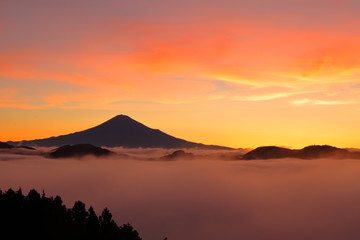 朝焼けに包まれた富士山と雲海　４