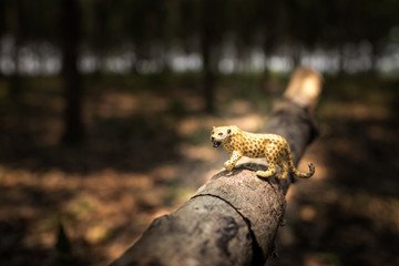 Leopard, miniature, figure, nature.
