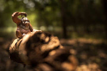 Orangutan, miniature, figure, nature.