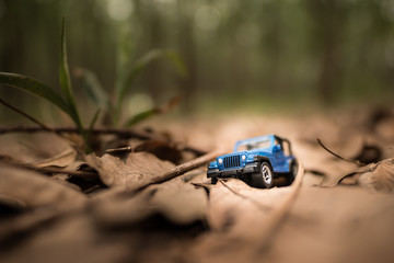 Car, vehicle, miniature, figure, nature.