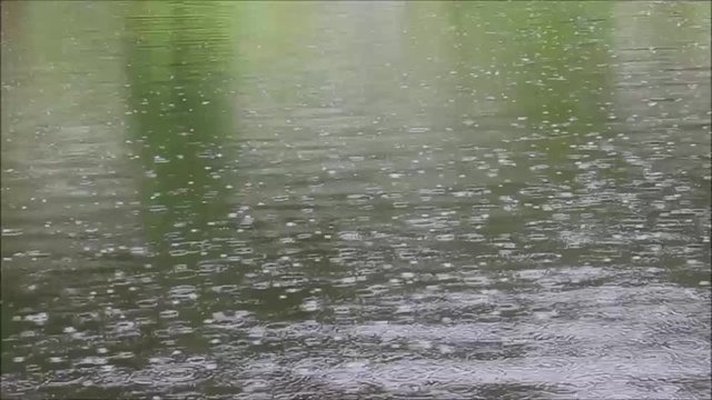 chuva caindo em lago