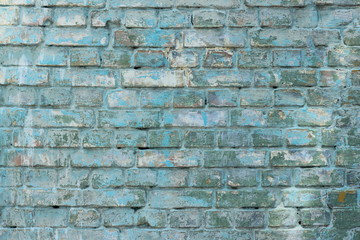 Brick wall green