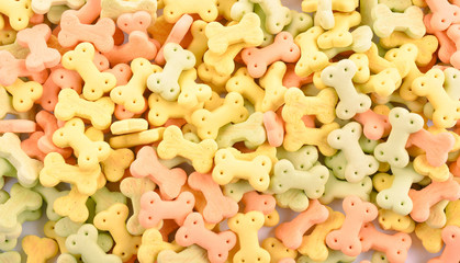 Dog food isolated on white