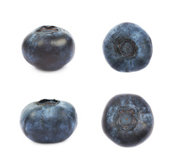 Single ripe bilberry isolated