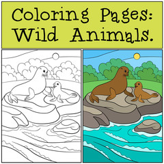 Naklejka premium Coloring page with example. Mother fur seal with her baby.