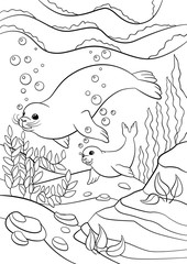 Coloring pages. Mother seal with her little cute baby.