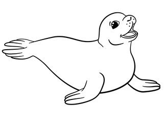Coloring pages. Little cute seal.