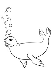 Coloring pages. Little cute seal swims.